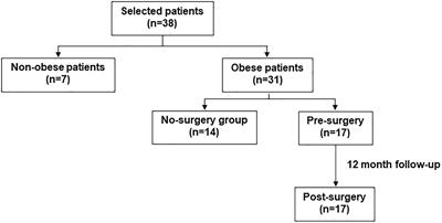 Beneficial Effect of Bariatric Surgery on Abnormal MMP-9 and AMPK Activities: Potential Markers of Obesity-Related CV Risk